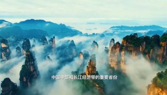  張家界被外交部全球推介，桑植白茶亮相冷餐招待會(huì)！ 