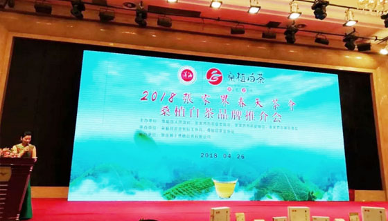 相約春天，湘豐桑植白茶正式發(fā)布 