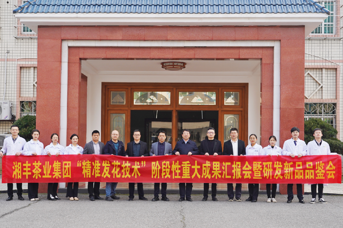 湘豐茶業(yè)集團“精準發(fā)花技術(shù)”取得重大階段性成果！