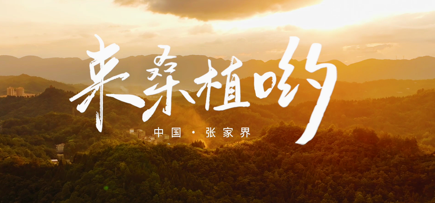 桑植推廣歌曲《來桑植喲》發(fā)布！