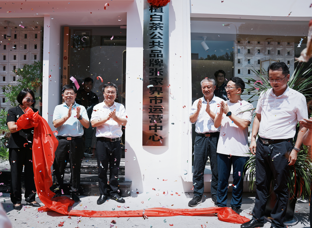 喜報(bào)！張家界白莓旗艦店盛裝開業(yè)暨桑植白茶公共品牌張家界市運(yùn)營(yíng)中心隆重揭牌！