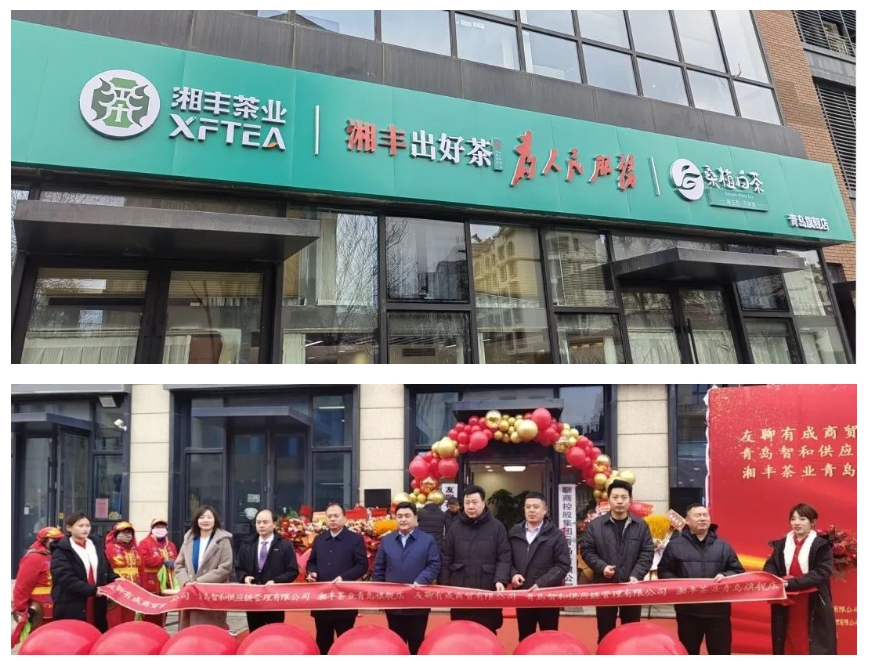 青島旗艦店盛大開業(yè)！湘豐茶業(yè)集團(tuán)全國布局再下一城