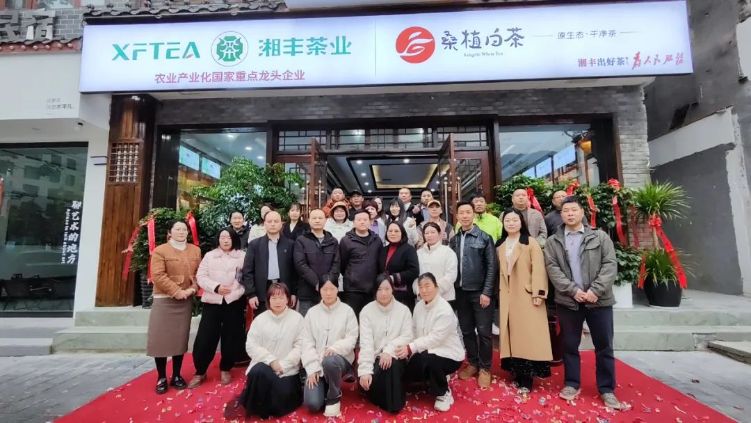 湘豐茶業(yè)·桑植白茶張家界武陵源旗艦店盛大開業(yè)！